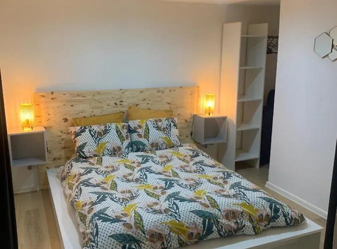 Appartement Chouett'appart Proche Frontieres